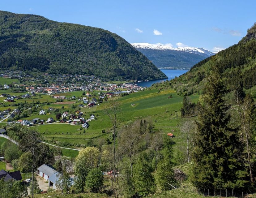 Vik i Sogn: Authentic Farm Visit - Key Things I’d Circle Before You Go