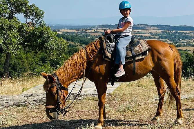 Visit a Farm and Horseback Riding in Nature - Key highlights to know before you go