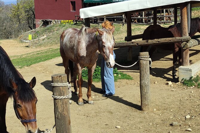 Visit a Farm and Horseback Riding in Nature - Small-group energy for families, couples, and solo travelers