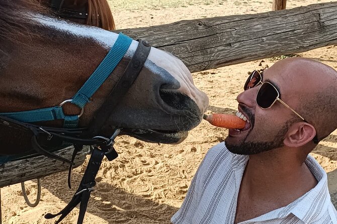 Visit a Farm and Horseback Riding in Nature - What to bring so you feel comfortable on the trail