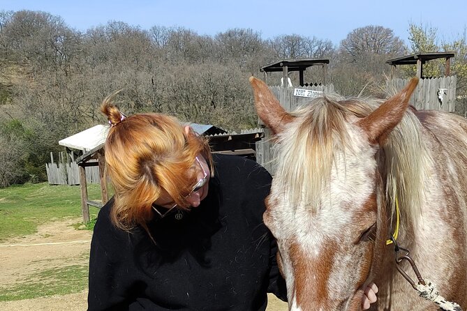Visit a Farm and Horseback Riding in Nature - Meeting the farm team and getting grounded with horses and animals