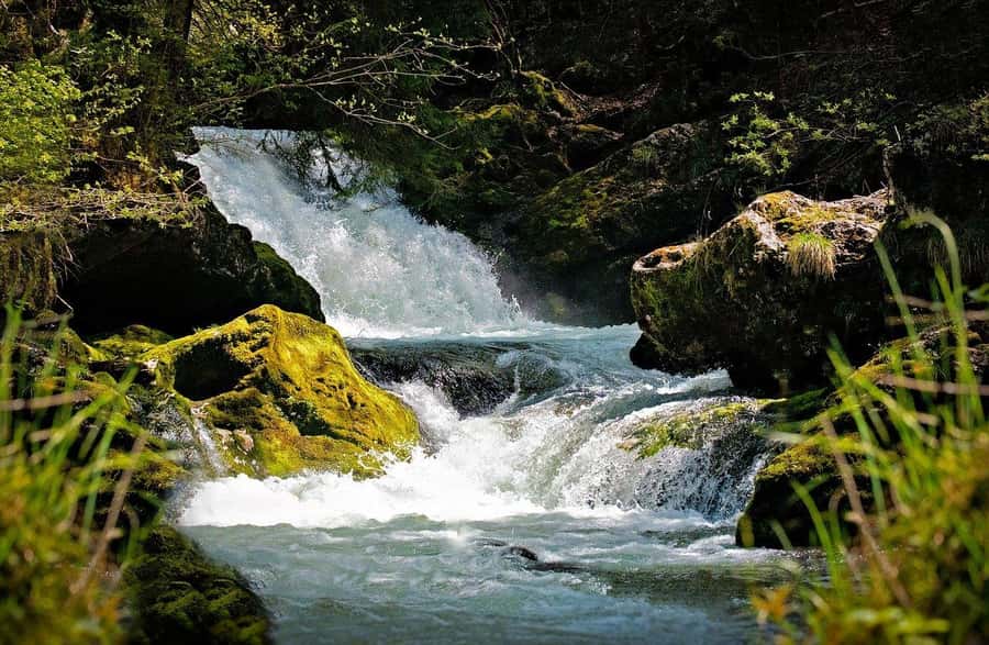 Visit Aburi Garden, Tetteh Quarshie Cocoa Farm & Waterfall - Key moments worth your attention