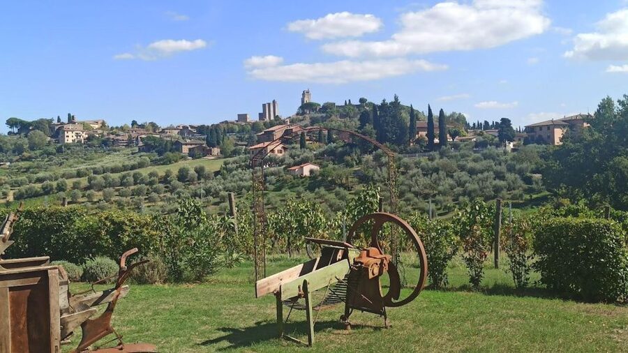 Visit Siena and San Gimignano with lunch at a family farm - Podere La Marronaia: the family farm lunch that makes the day feel worth it