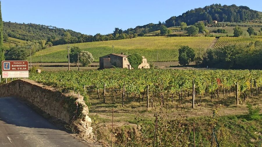 Visit Siena and San Gimignano with lunch at a family farm - San Gimignano’s towers: how to see the town without rushing