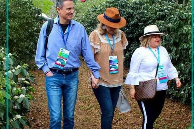 Visit to Coffee Farm with Tasting in Coatepec - Coffee Farm Tasting in Coatepec: What This Tour Gets Right