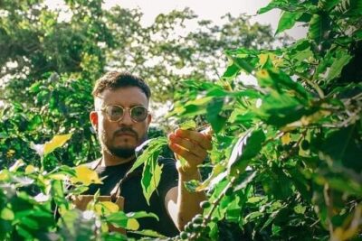 Visit to Coffee Farm with Tasting in Coatepec - Meeting at Museo del Café Coatepec: the easiest start