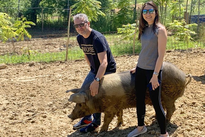 Visit to the Cinta Senese farm in Montepulciano - The Wine and Conversation Side of the Experience