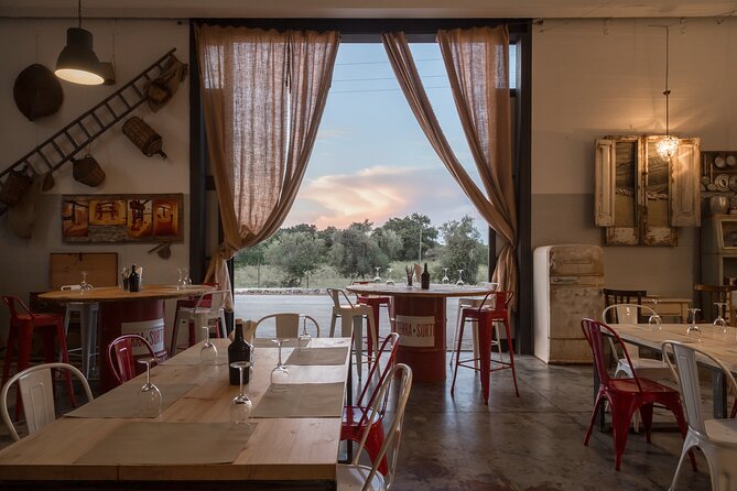Visit to the olive grove, oil tasting and lunch at the farm - Key things I think you’ll remember