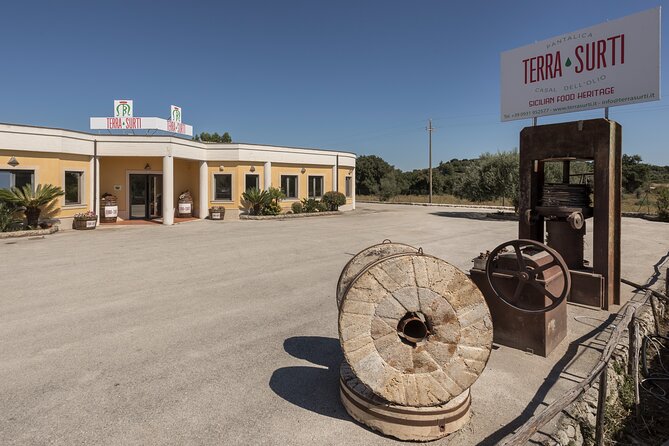 Visit to the olive grove, oil tasting and lunch at the farm - Logistics that matter: meeting point, English, mobile ticket, and transport