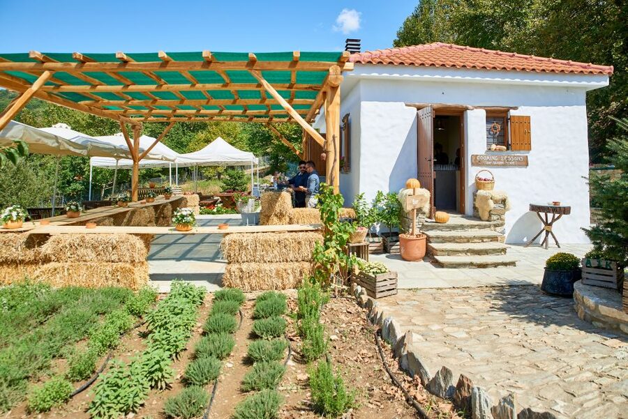 Volos: Cook Like a Local at a Greek Farm - Key highlights in plain language