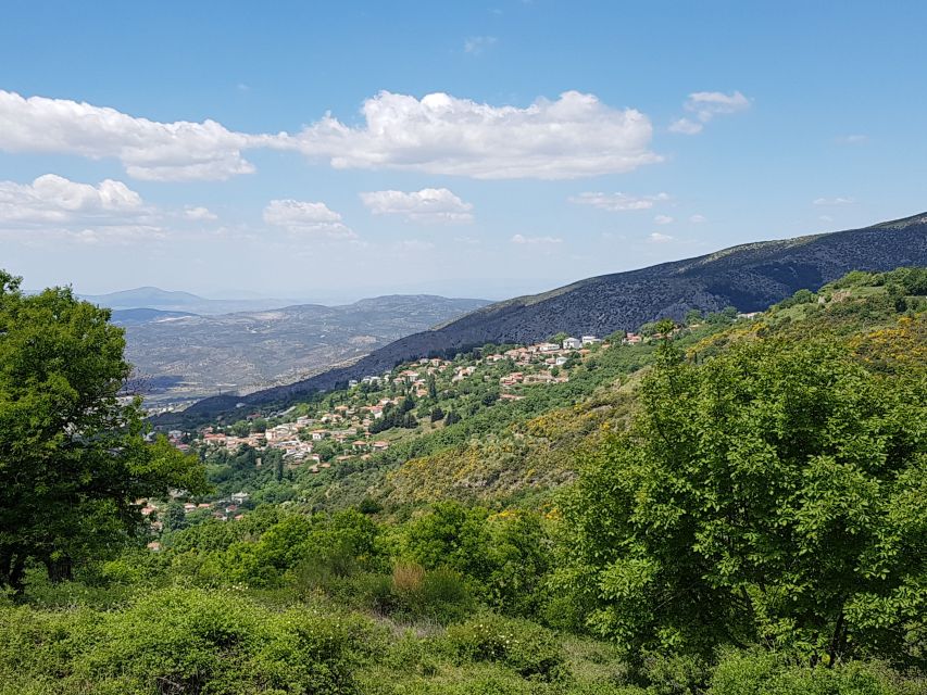 Volos: Cook Like a Local at a Greek Farm - A hands-on Greek farm kitchen near Portaria