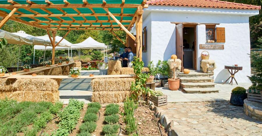 Volos: Cook Like a Local at a Greek Farm - Tsipouro and a small meze during the lesson