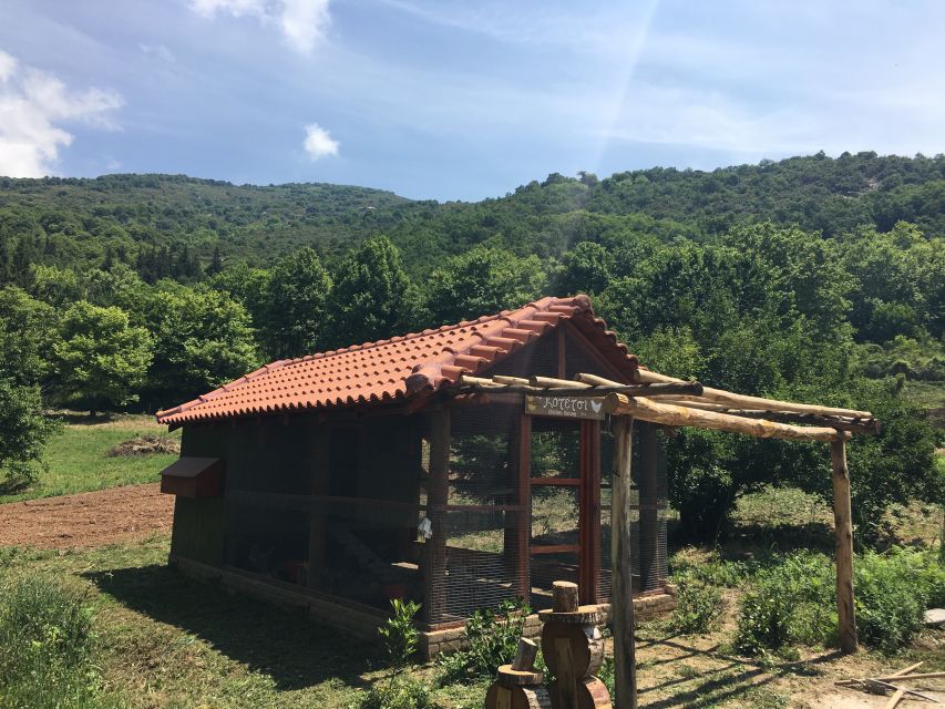 Volos: Cook Like a Local at a Greek Farm - The small details that make it feel local