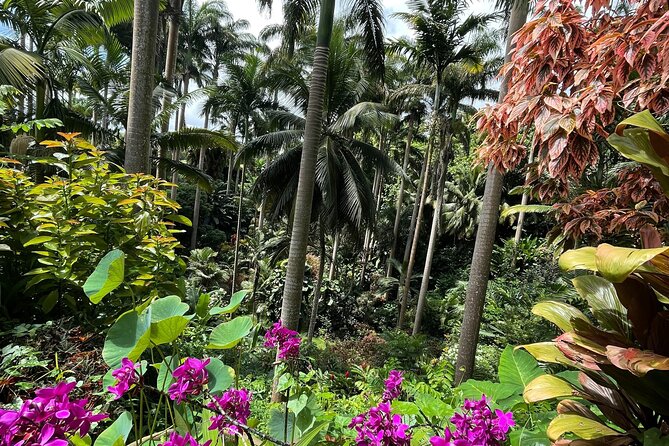 Welchman Hall Gully, Hunte’s Garden and Peg Farm Family Day - Farm-to-table food: what to do about lunch