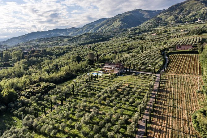 Wine and olive oil tasting & farm tour - Quick highlights you can plan around