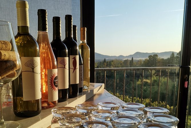 Wine and olive oil tasting & farm tour - Entering The Capannori countryside: meeting at the farm