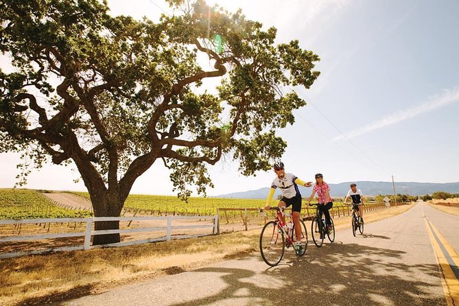 Wine Country Farm to Table Bike Tour w/Lunch - Quick hits: what makes this tour a good use of your time