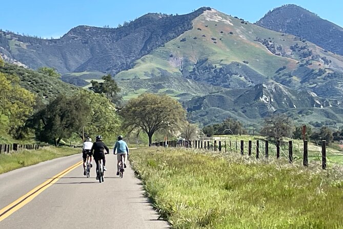 Wine Country Farm to Table Bike Tour w/Lunch - Why this bike tour fits wine country better than a classic tasting day