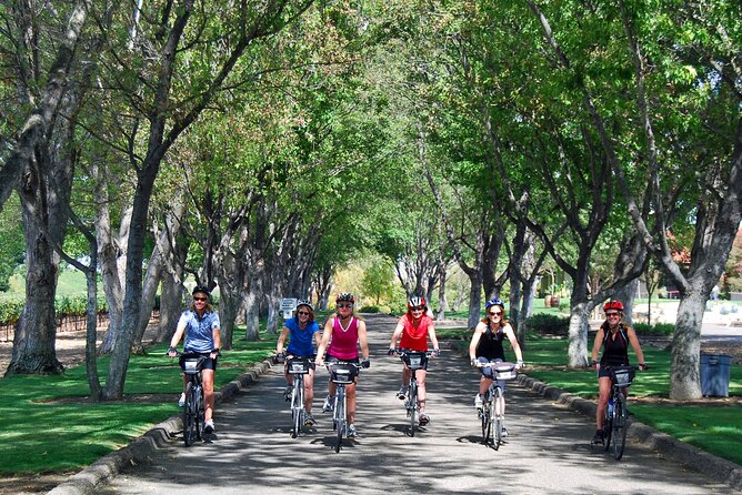Wine Country Farm to Table Bike Tour w/Lunch - Los Olivos olive oil tasting: learn what you’re tasting (and how much)