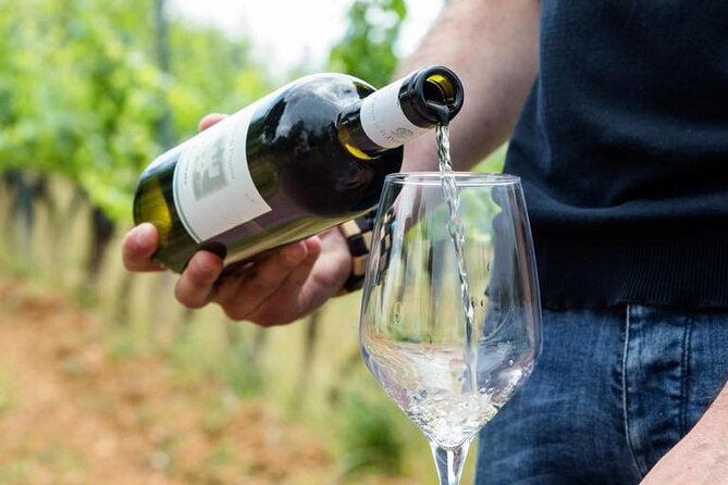 Wine Experience in farm vineyard & winery from Montecatini T. - Montecatini Terme to Fattoria Il Poggio: Why This Day Feels Different