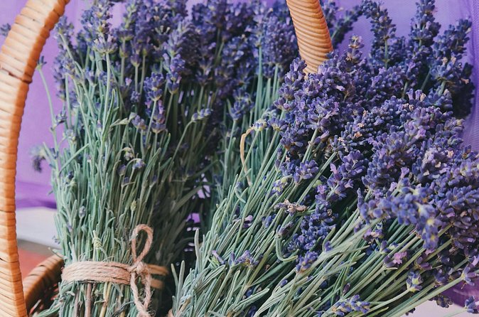 Wine Tasting and lavender Farm Tours - Price and Value: Why This Often Beats DIY Wine Tours