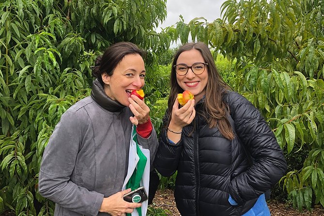 Wine Tasting, Cape Dutch Farm and Art Day Tour from Cape Town - From Cape Town: a smooth, small-group day in the Winelands