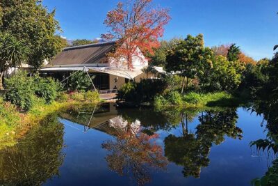 Wine Tasting, Cape Dutch Farm and Art Day Tour from Cape Town - La Motte Wine Estate: cozy tastings with art on the walls and cellars in view