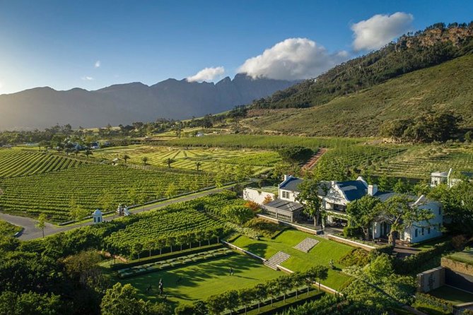 Wine Tasting, Cape Dutch Farm and Art Day Tour from Cape Town - The drive through Stellenbosch: quick context on a classic town