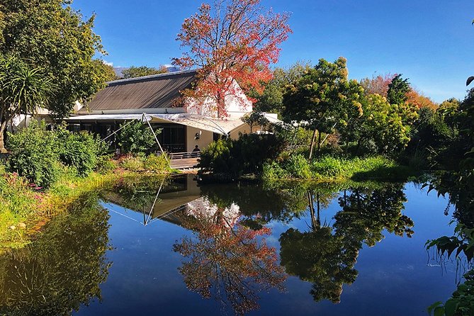 Wine Tasting, Cape Dutch Farm and Art Day Tour from Cape Town - La Motte Wine Estate: cozy tastings with art on the walls and cellars in view