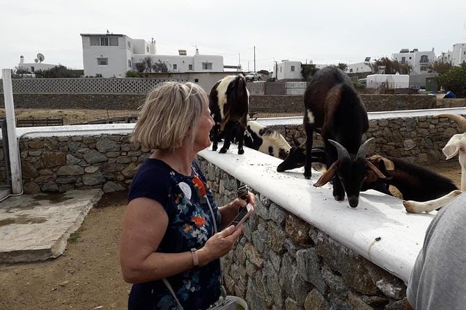 Wine Tasting Tour at a traditional farm in Mykonos - Midday vs Evening: How the Start Time Changes the Mood