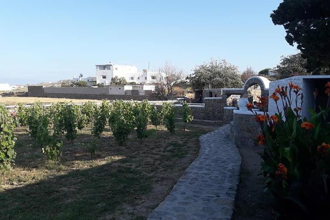 Wine Tasting Tour at a traditional farm in Mykonos - Value for Money: Why 90.70 USD Can Work for You
