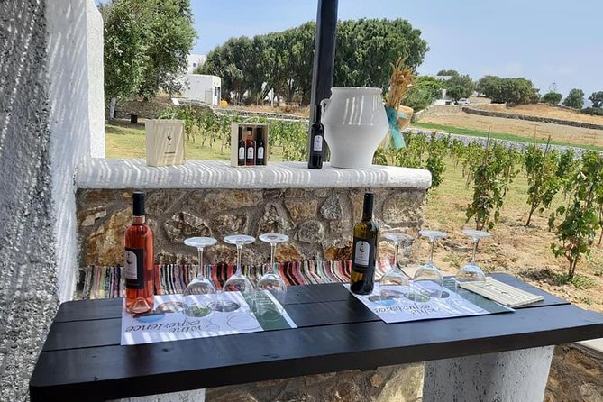 Wine Tasting Tour at a traditional farm in Mykonos - Practical Tips So You Don’t Lose Time or Enjoy It Less