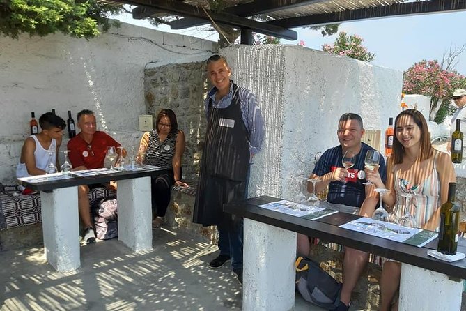 Wine Tasting Tour at a traditional farm in Mykonos - Who Should Book This, and Who Might Prefer Something Else