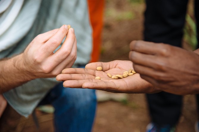 Women-led Coffee Farm Trek - Getting started at Question Coffee Gishushu (and why the small group matters)