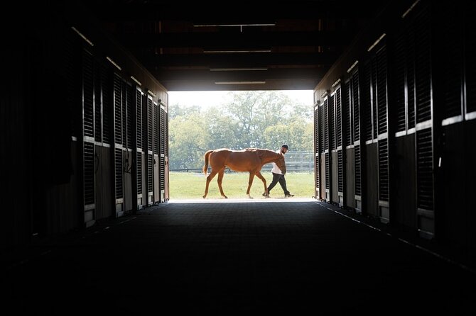 Woodford Reserve, Kismet Thoroughbred Farm & Whiskey Thief - Price and Value: Why $275 Can Make Sense for a Full Louisville Day