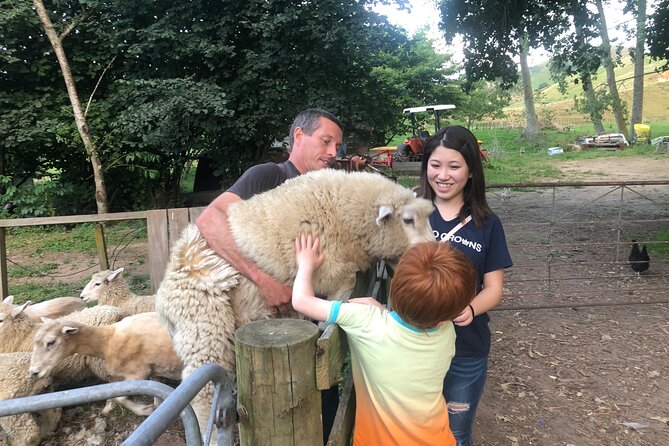 Wool Sheep Farm Experience with Handmade Wool Hat in New Zealand - Key Highlights You’ll Care About Before You Go
