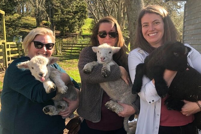 Wool Sheep Farm Experience with Handmade Wool Hat in New Zealand - Where You Start on the North Island and How the Timing Feels