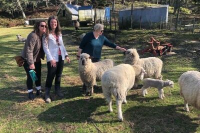 Wool Sheep Farm Experience with Handmade Wool Hat in New Zealand - Animal Time: Feeding Chickens, Ducks, Sheep, Horses, and Highland Cows