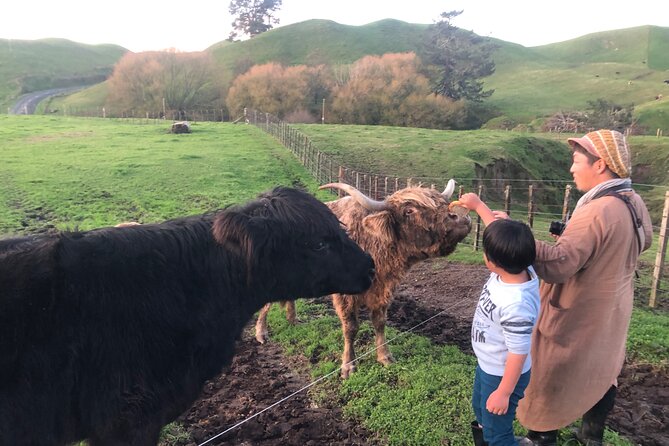 Wool Sheep Farm Experience with Handmade Wool Hat in New Zealand - Eco-Friendly Farm Vibes Without the Hype