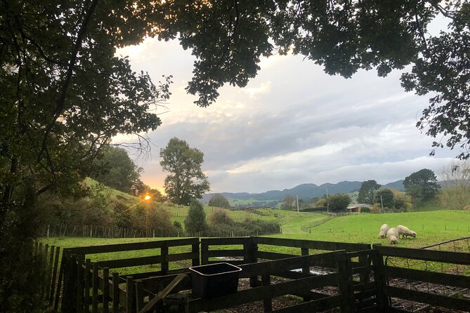 Wool Sheep Farm Experience with Handmade Wool Hat in New Zealand - Best Fit: Who Will Enjoy This Most
