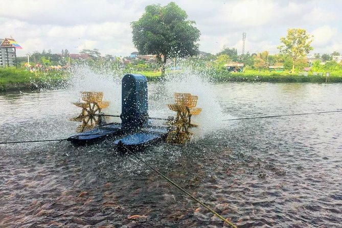 Yogyakarta Cycling Tour Around the Villages and Fish Farm - What’s included (and what you’ll still need to handle)