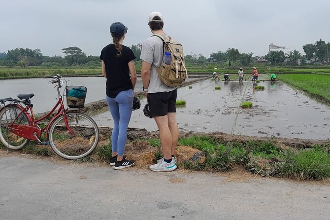 Yogyakarta Cycling Tour Around the Villages and Fish Farm - Price and value: $23 for bikes, transfers, and fish-farm lunch