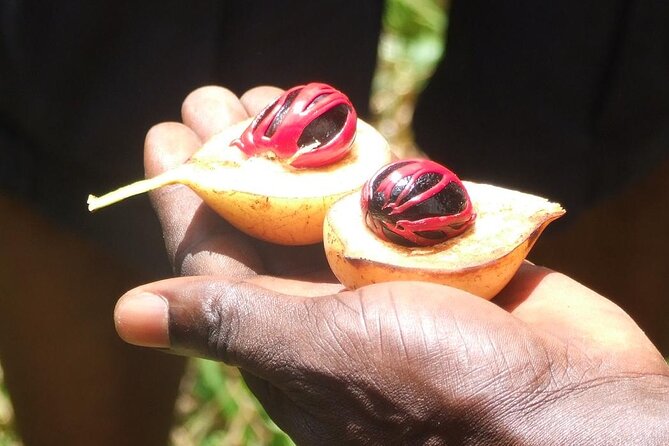 Zanzibar Cooking Class [Swahili food test ] and Spice farm Private tour - Lunch at the Spice Farm: Where You Get to Put It Together
