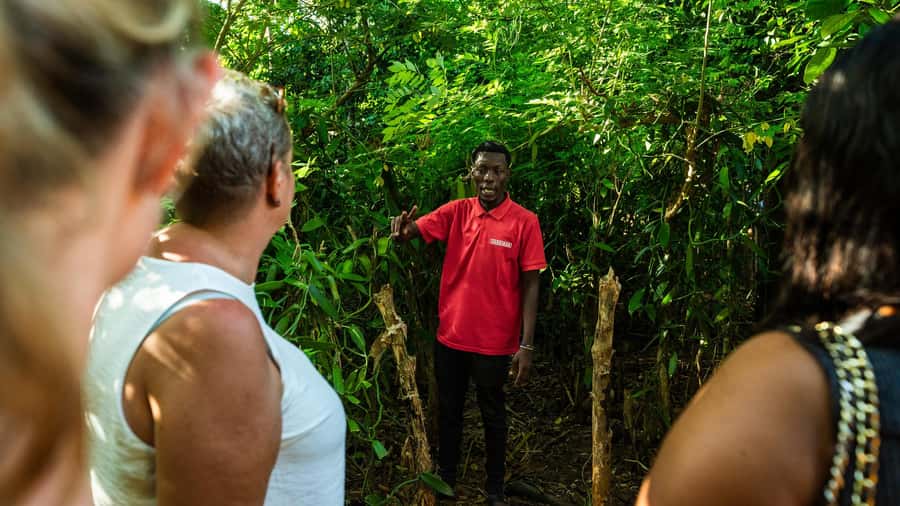 Zanzibar: Day Jozani Forest,Spice Farm,Nature and Savor Tour - Language, Guides, and Getting Explanations You Can Use