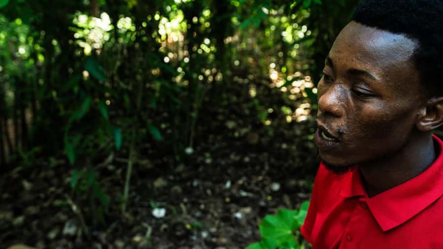 Zanzibar: Day Jozani Forest,Spice Farm,Nature and Savor Tour - Who This Tour Suits Best (and Who Might Prefer Another Day)