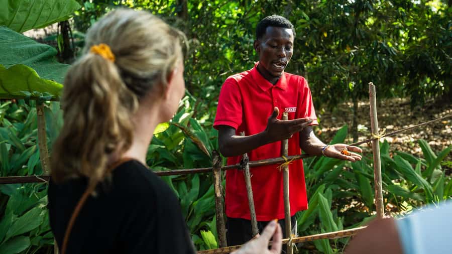 Zanzibar: Half-Day Spice Farm Tour,the flavours of Zanzibar - Getting to the Private Spice Farm: First Stops and Guided Walking