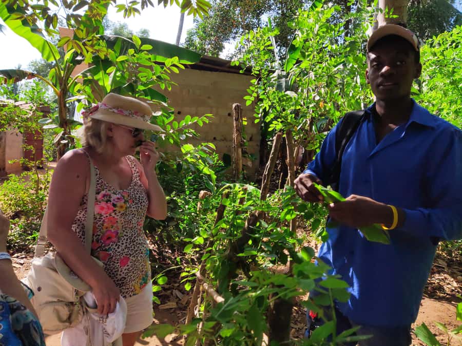Zanzibar: Half-Day Spice Farm Tour,the flavours of Zanzibar - Cloves, Nutmeg, Cinnamon, Black Pepper, and More: Smell, Learn, Repeat