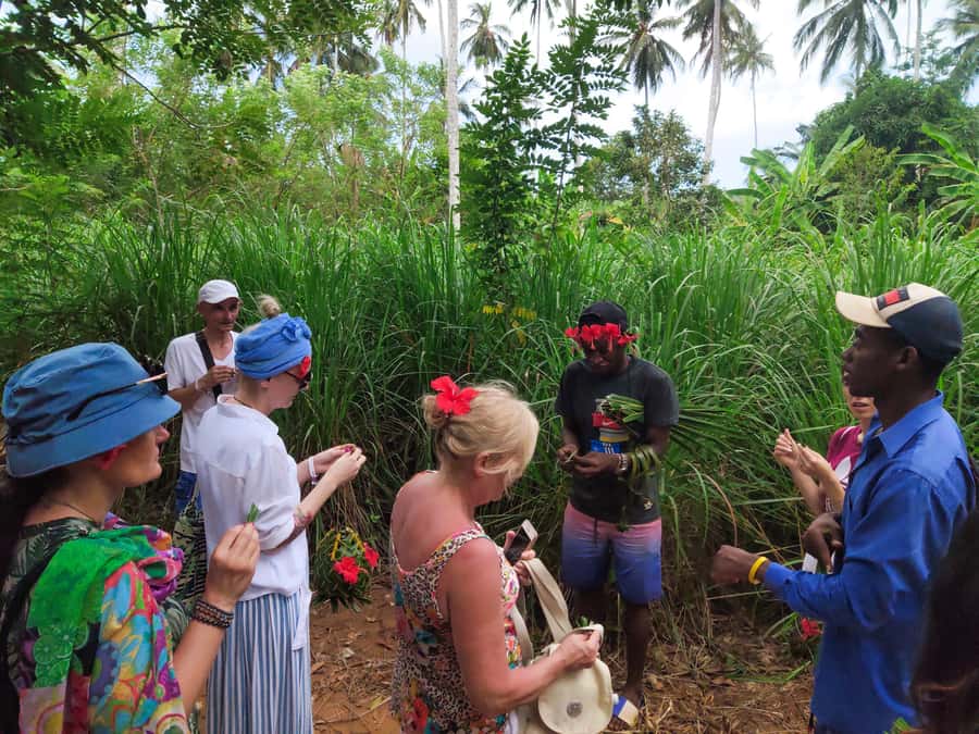 Zanzibar: Half-Day Spice Farm Tour,the flavours of Zanzibar - Best For Who: Couples, Foodies, and Travelers Who Like Their Learning Hands-On