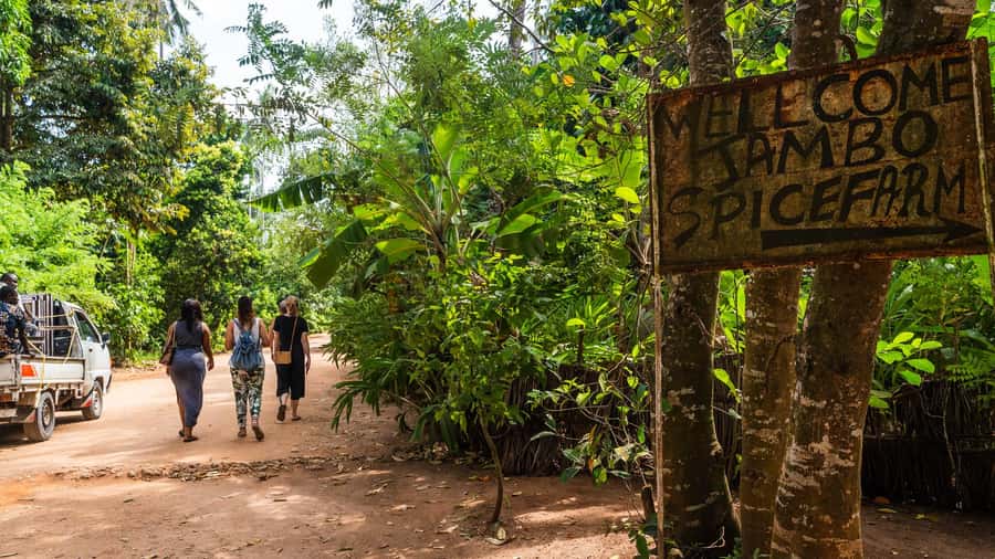 Zanzibar: Half-Day Spice Farm Tour,the flavours of Zanzibar - The 4-Hour Format: Private, Hotel Pickup, and How to Plan Your Day