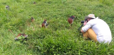 Zanzibar: Jozani Chwaka Bay National Park and Spice Farm … - The forest walk: what you’ll notice beyond monkeys